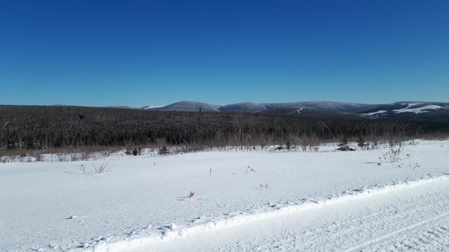 Medium 61714582d8